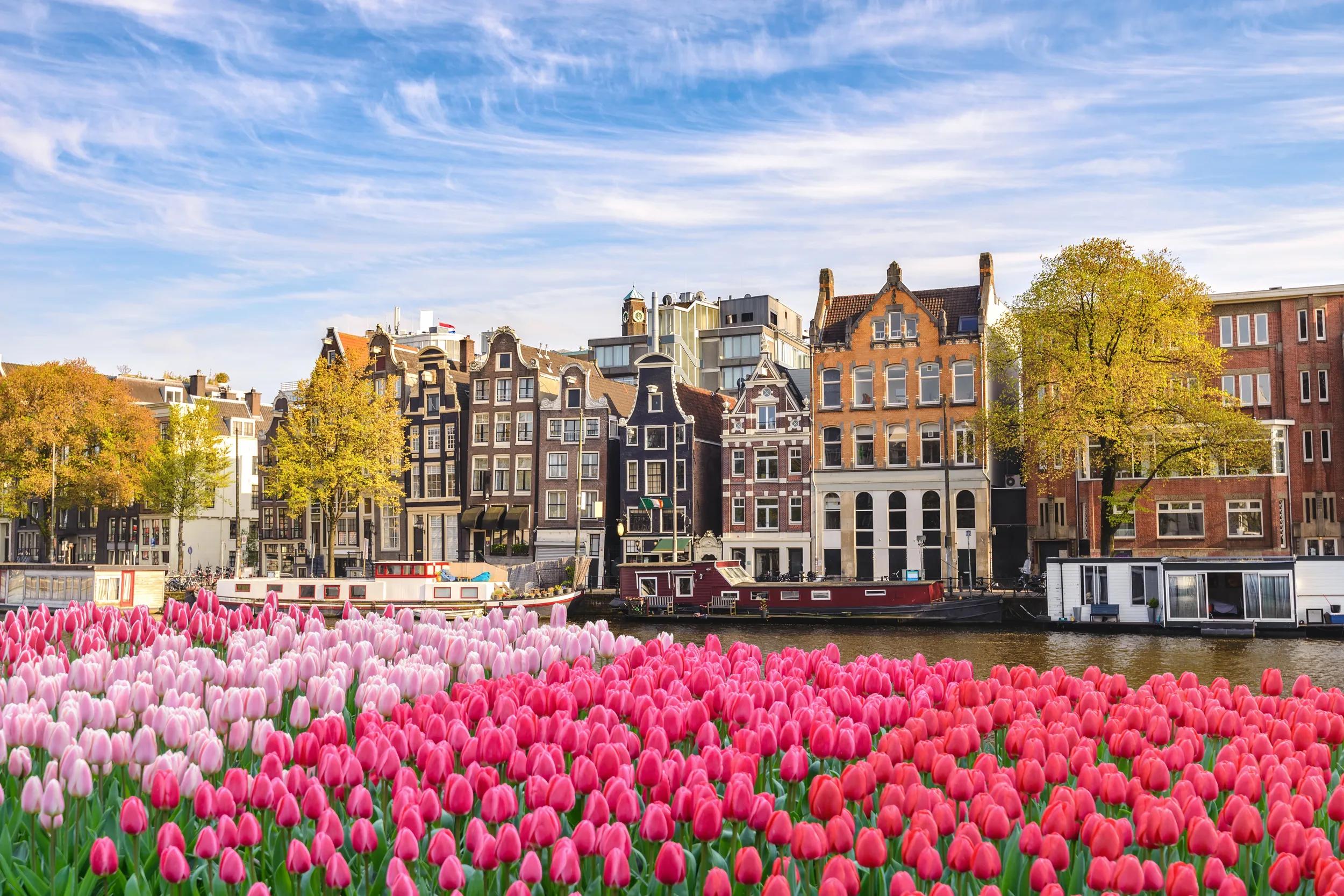 Careers_Locations_Desktop_Global_Amsterdam